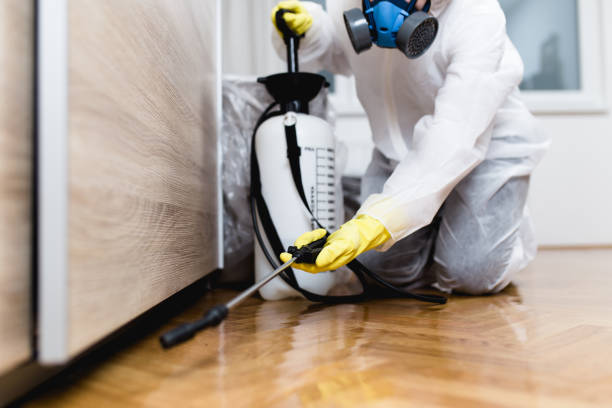 Best Termite Control Services  in Ashland City, TN