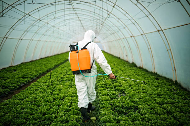 Best Emergency Pest Control  in Ashland City, TN