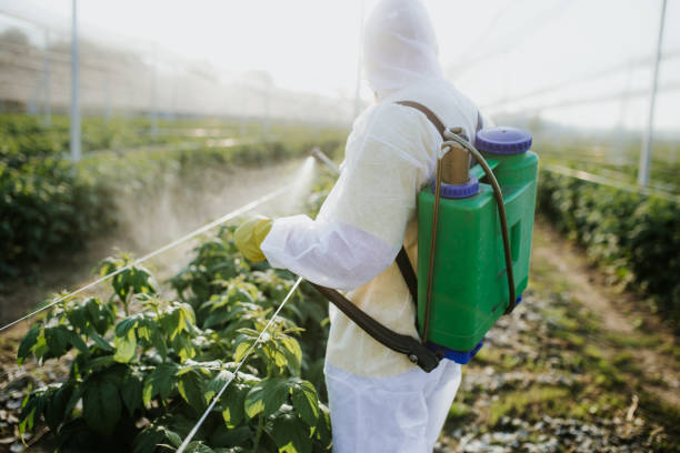 Pest Prevention Services in Ashland City, TN